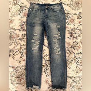 Judy Blue Skinny Fit Destructed Jeans